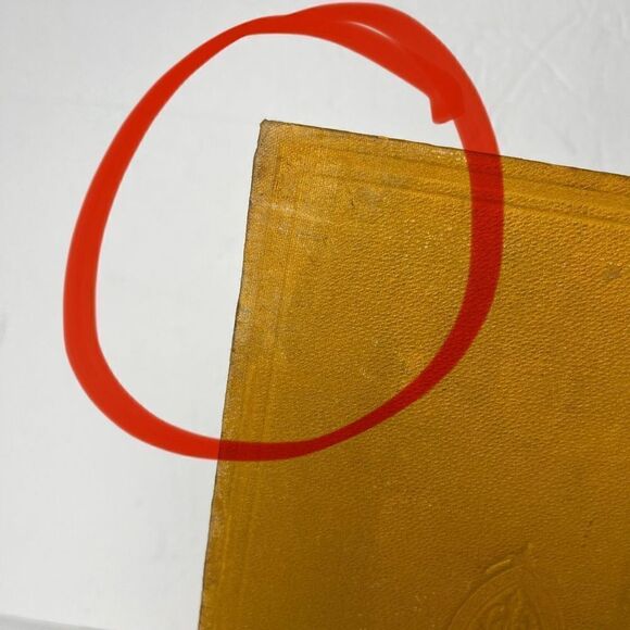 Wood’s Library of Standard Medical Authors Malaria and Malarial Diseases 1884 Ge - Picture 4 of 12